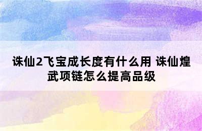 诛仙2飞宝成长度有什么用 诛仙煌武项链怎么提高品级